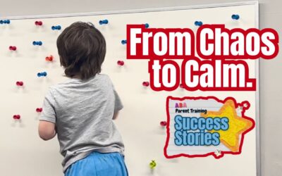 ABA Therapy for Destructive Behavior: A Parent’s Perspective